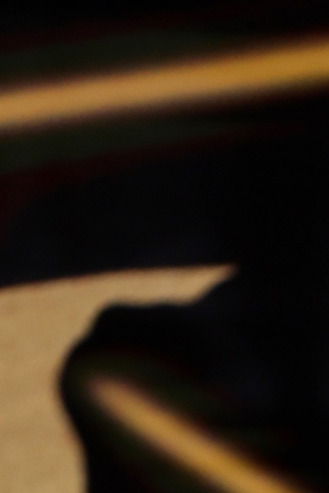 MONTE-CARLO, MONACO - JUNE 20: John Goodman attends the "Nymphes D'Or - Golden Nymphs" Award Ceremony during the 62nd Monte Carlo TV Festival on June 20, 2023 in Monte-Carlo, Monaco. (Photo by Pascal Le Segretain/Getty Images)