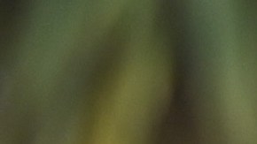 Tom Cruise quedó cautivado con Jessi Rodríguez de 'Despierta América'