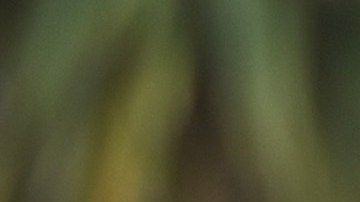 Tom Cruise quedó cautivado con Jessi Rodríguez de 'Despierta América'