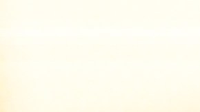 Fanáticos mexicanos disfrutando del México vs. Honduras en Copa Oro.