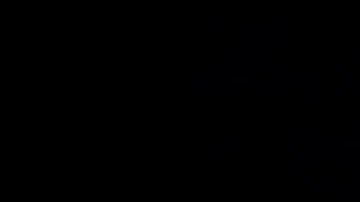 Biden anunció oficialmente en abril que buscará un segundo mandato como presidente de Estados Unidos en las elecciones de 2024.