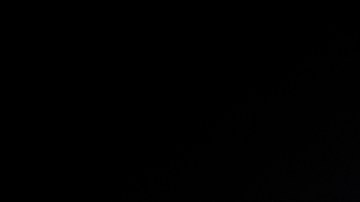 DUBAI, UNITED ARAB EMIRATES - DECEMBER 13: (EDITORS NOTE: This image has been desaturated) Actor Mike Batayeh during a portrait session on day five of the 9th Annual Dubai International Film Festival held at the Madinat Jumeriah Complex on December 13, 2012 in Dubai, United Arab Emirates. (Photo by Gareth Cattermole/Getty Images for DIFF)