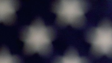 Entre las mujeres inmigrantes, las de Vietnam son las más interesadas en convertirse en ciudadanas.