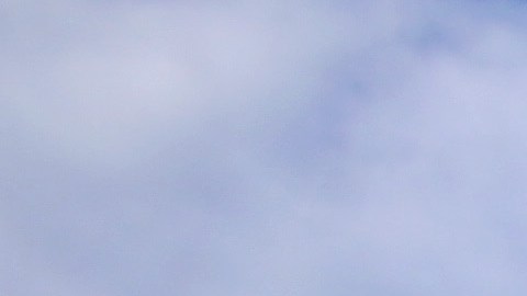 Ártico perdería todo su hielo marino de verano en 10 años