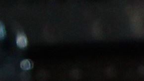 The Iron Sheik posa durante un evento de la WWE en el 2013.