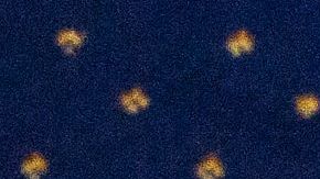 Sello de la Comisión Federal de Comercio (FTC).