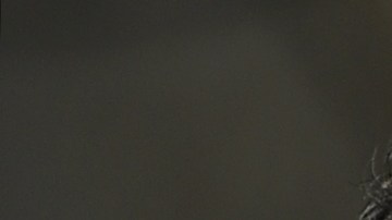 Gerardo 'Tata' Martino (i) y Lionel Messi (d) coincidieron en la selección argentina.