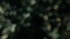 SAN DIEGO, CA - JANUARY 26: California Highway Patrol officers control traffic outside Naval Medical Center San Diego after reports of gunfire inside the Military Hospital on January 26, 2016 in San Diego, California. Initial reports of gunfire were later said to be unfounded by local law enforcement. (Photo by Sean M. Haffey/Getty Images)