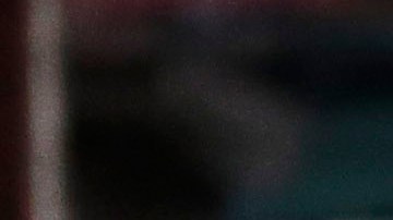 Tragedia en Illinois: Niño toma el arma de su padre y mata accidentalmente a otro mientras jugaban