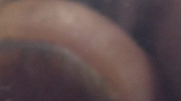 Alumnos al sur de México se intoxican por comer brownies de marihuana