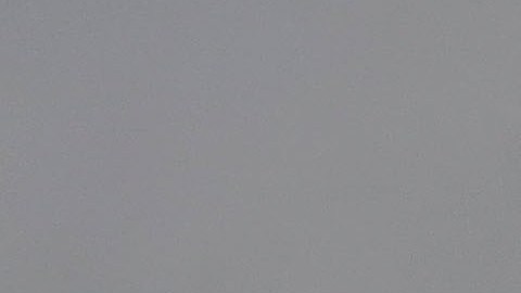 Aviones de combate F-16 interceptaron avioneta estrellada cerca de Washington tras no responder comunicación