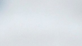 Oscar Whalley está en Guadalajara.