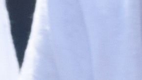 Shackled gang members wait upon arrival at the maximum security prison in Zacatecoluca, 65 km east of San Salvador, on December 1, 2016. Twenty gang members arrested in connection with the murders of policemen and soldiers were transferred on December 1 to Zacatecoluca. The Salvadoran authorities reported that all of them were members of the violent MS-13 gang. / AFP / Marvin RECINOS (Photo credit should read MARVIN RECINOS/AFP via Getty Images)