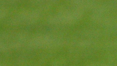 Suárez jugó más de 150 partidos con El Tri.