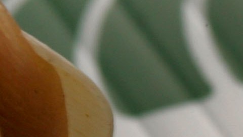La ingeniería genética, un camino para la producción sostenible de alimentos