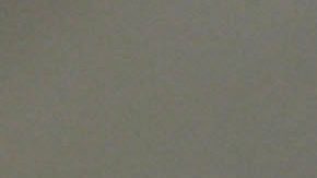 Estados Unidos aprueba la venta de pollo y carne cultivados en laboratorios