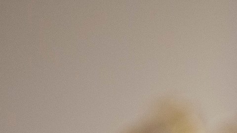 El expresidente Trump tiene limitantes sobre el manejo de la evidencia en su contra.