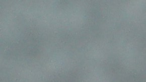 Hombre en México mata a golpes a dos perros, porque su pareja lo terminó tras sufrir agresiones