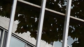 EE.UU. anuncia su retorno a la Unesco tras retirada durante el gobierno de Donald Trump en 2017