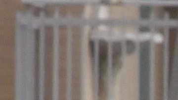 Un falso secuestro durante despedida de soltero genera pánico y denuncias en Italia