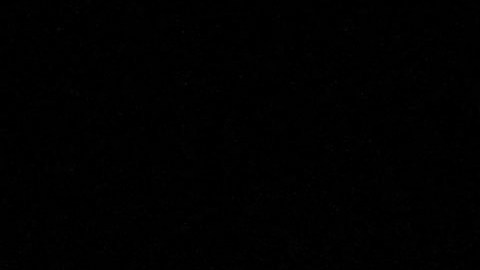 Putin acusa a líderes rebeldes de traidores y dice que Rusia habría aplastado la revuelta