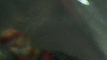 NEW YORK - AUGUST 31: In this photo illustration, vintage Spider Man and X-Men Marvel comic books are seen at St. Mark's Comics August 31, 2009 in New York City. The Walt Disney Co. announced that it plans to acquire Marvel Entertainment Inc. for $4 billion in stock and cash, bringing 5,000 Marvel characters including Spider Man and Incredible Hulk under the Disney umbrella. (Photo Illustration by Mario Tama/Getty Images)