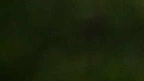 Ciudadano estadounidense es arrestado en Rusia por tráfico de drogas