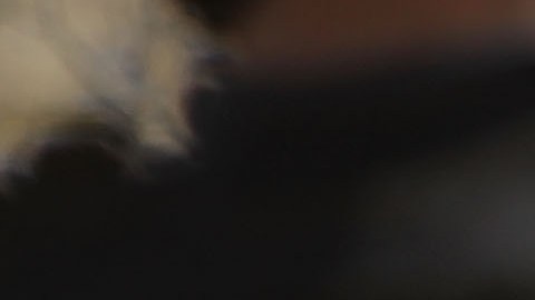 Restos localizados en bolsas de plástico corresponden a jóvenes de Call Center desaparecidos en México