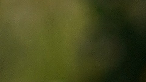 Niño de dos años disparó fatalmente a su madre embarazada en Ohio