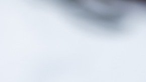 Gianfranco Espinoza Quispe