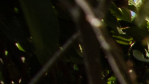 Gustavo Santaolalla prepara un disco de Bajofondo que saldrá en 2024. Foto: Cortesía