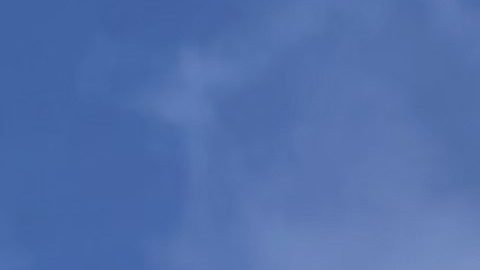 El Superbloom de California ocurre cuando las fuertes lluvias invernales estimulan la germinación y el crecimiento de las semillas latentes.