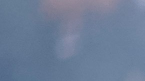 Jürgen Damm se despidió de América hace unos días.