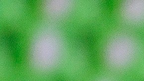 Nailea Vidrio, exfutbolista de Cruz Azul, es la protagonista de los memes tras el empate del Tri.