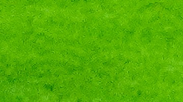 Álvarez es uno de los mejores jugadores del Ajax.