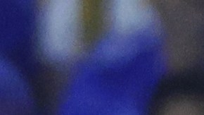 Tigres derrotó a Pachuca 4-1 en su último encuentro en la Liga MX.