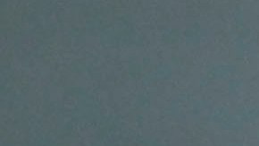 André Jardine, entrenador brasileño durante su paso por Atlético San Luis de la Liga MX.