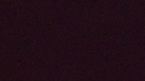 Atlético San Luis durante el Torneo Clausura 2023 de la Liga MX.