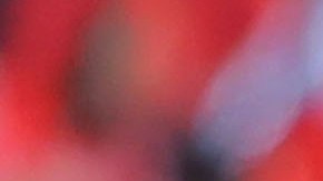 Brayan Angulo, con los Diablos Rojos del Toluca en la Liga MX.