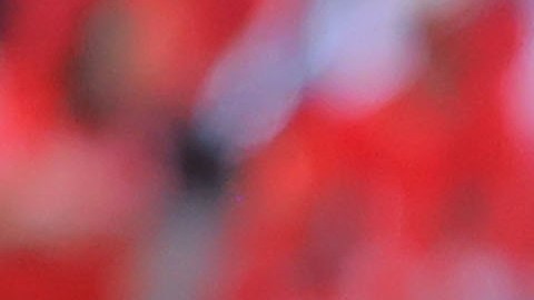 Brayan Angulo, con los Diablos Rojos del Toluca en la Liga MX.