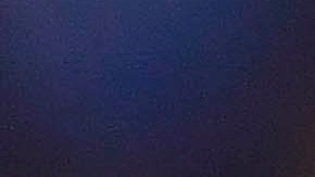 Alexis Vega es el estandarte del Rebaño Sagrado.