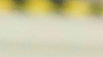 Roberto Alvarado y Alexis Vega durante un partido de Chivas.