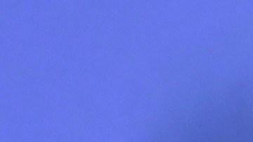 Fernando Ortiz, actual entrenador de Rayados de Monterrey y ex Club América.