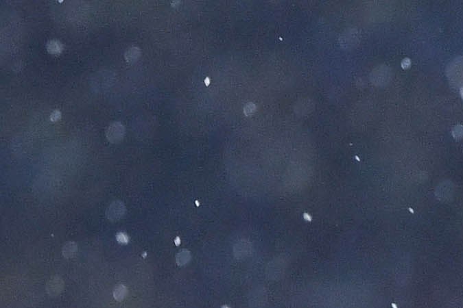 Charlyn Corral es la goleadora de las Tuzas de Pachuca.