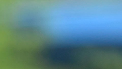 Diego Cocca entrenando a la Selección de México.