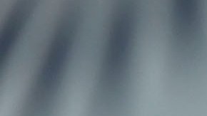 Cocca solo perdió un partido de los siete que dirigió.