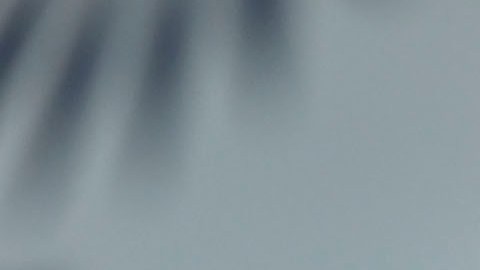Cocca solo perdió un partido de los siete que dirigió.