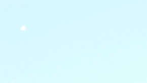 Jugadores de Tigres en festejo con el trofeo de campeón.