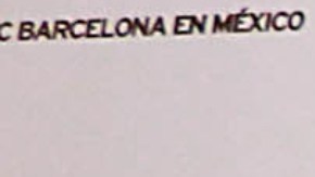 Luis Omar Tapia, periodista deportivo.