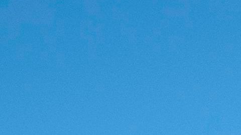 Indocumentados Texas